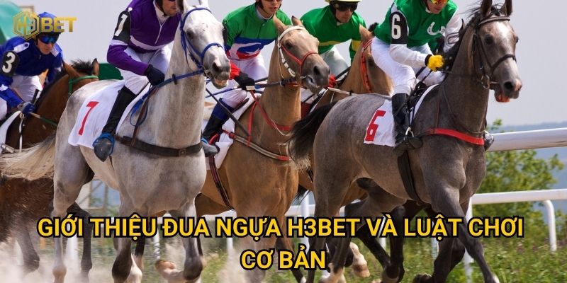 Đua ngựa H3bet có phải là lựa chọn giải trí hấp dẫn? 1 Giới thiệu Đua ngựa H3bet và luật chơi cơ bản